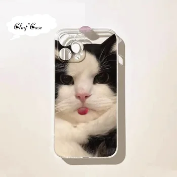 Clmj INS Pisica Drăguț Pisoi Telefon Caz Pentru iPhone 13 11 12 Mini-14 Pro 7 8 Plus Se 2020 XR X XS Max Silicon Moale husa de Protectie