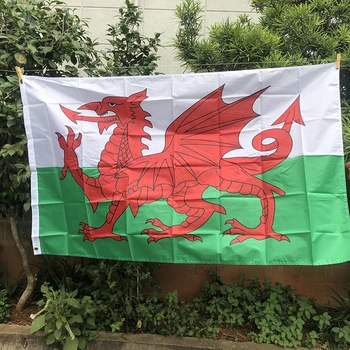 Z-UN singur STEAG țara Galilor Pavilion 90x150cm poliester agățat Welsh roșu Regatul Unit uniune Steagul Marii Britanii Interior decor în aer liber