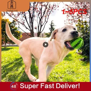 1~5PCS Jucărie de Câine de Companie Interactive Bile de Cauciuc Mici pentru Câini de talie Mare Catelus Cat de Mestecat Jucării pentru animale de Companie de Curățare Dinte Indestructibil Câine