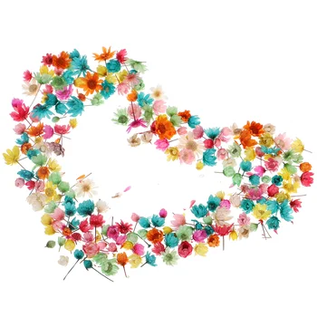 Flori uscate DIY Accesorii Decora Rășină Materiale Consumabile obiecte de Artizanat Presat