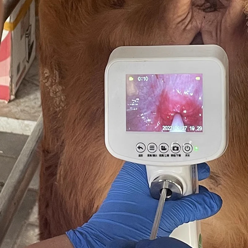 Portabil și temperatură constantă de încălzire portabil vizual artificiale inseminare arma pentru bovine de încărcare model