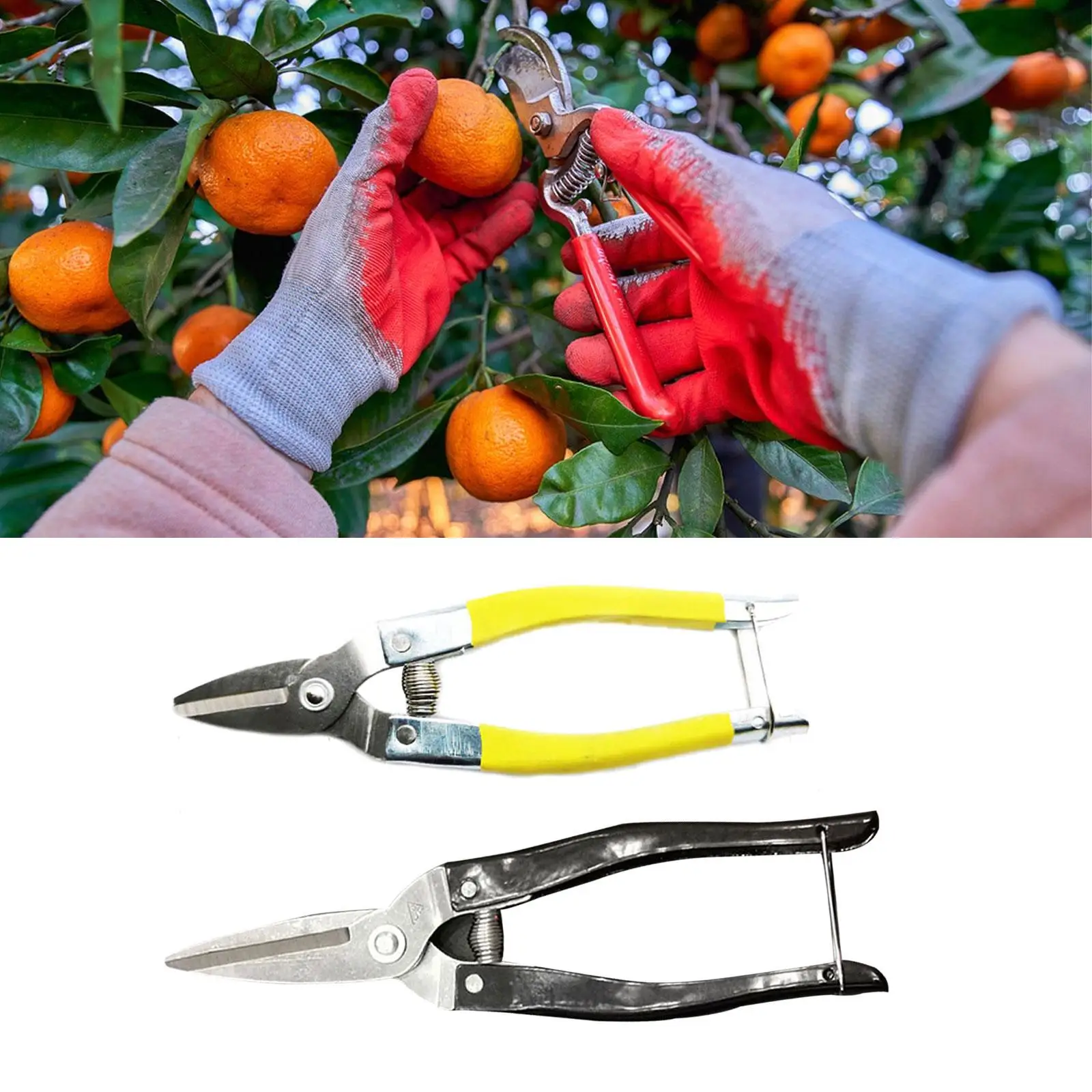 Tăiere prin Forfecare de primăvară Forfecare Multifuncționale Sharp Cules de Fructe Foarfecă pentru flori, Livada, Curte Tufișuri